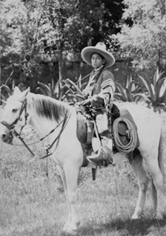 Mexikanisches Pferd